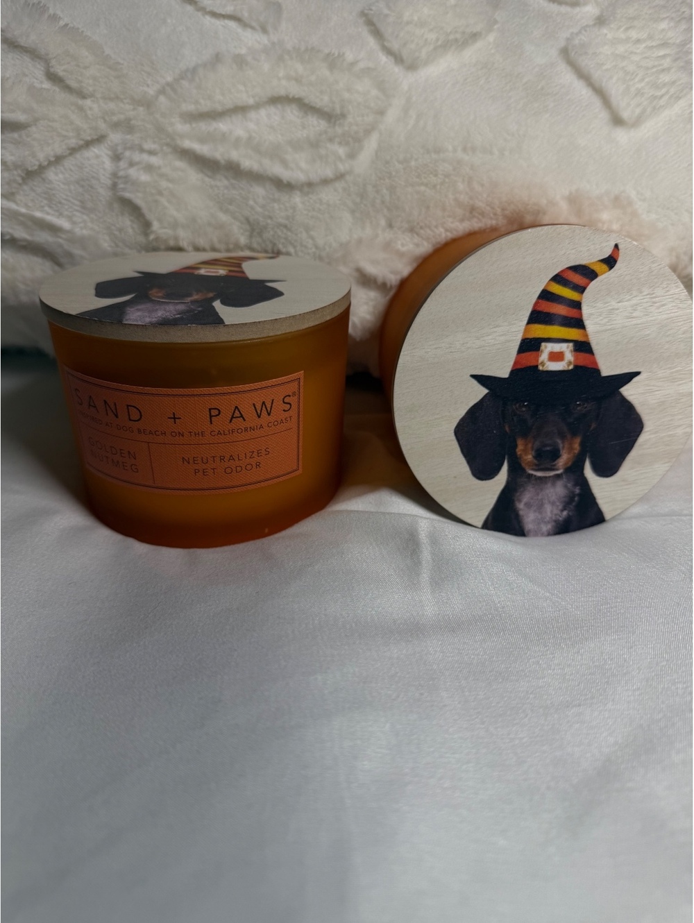 Sand and Paws Halloween Candle Dachshund Witch Lid